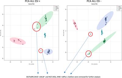 Metabolic fingerprinting of chemotherapy-resistant prostate cancer stem cells. An untargeted metabolomic approach by liquid chromatography-mass spectrometry